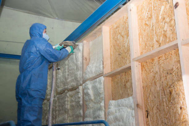 Best Insulation Removal  in Clarksburg, MD